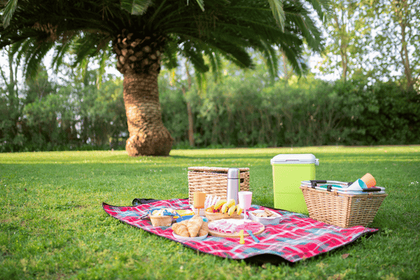 Photo of a picnic set on a sunny day